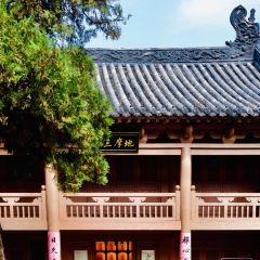 Shaolinsihuanxidesuzhaiguan User Photo