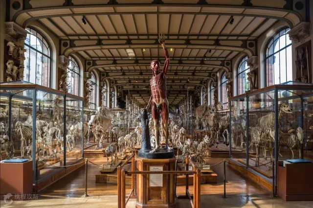 Must-Have Guide to Top Museums in Washington