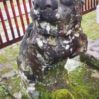 評論圖片 2