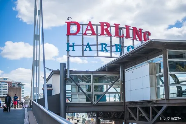 Adventure Outdoors: Wild Life & Adventures in Sydney 2025