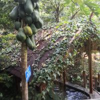 評論圖片 1