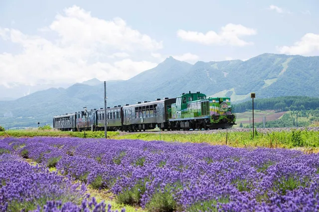 Summer Vacation in Japan: Things to do in Hokkaido - Trip.com