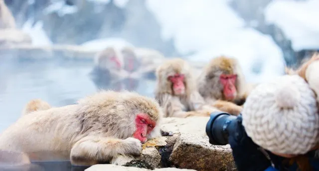 A Trip of a Lifetime to Mt. Fuji, Make a Pilgrimage to its Beauty and Belief