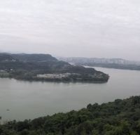 評論圖片 8