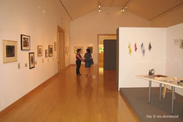 Honolulu Museum of Art: A Must Visit for Culture Lovers