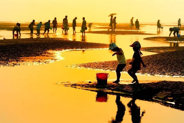 Looking to the Distance, One Can Spot the Beach Treads and Waves, And the Surrounding Area of Nantong is Close to Nature