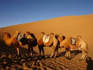 必魯圖沙峯