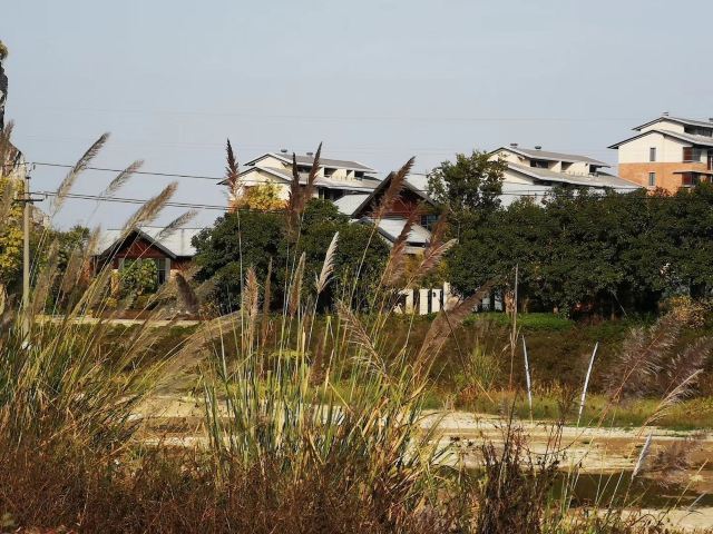 Wucai Tuanyuan Farmers Festival