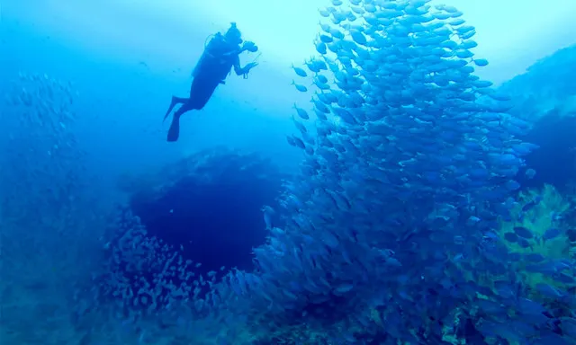 Koh Samui: Thailand's Most Famous Dive Spot