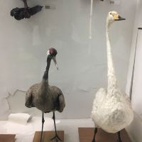 評論圖片 2