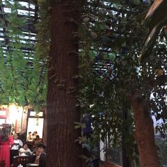 复兴小院·私房菜(古城店) User Photo