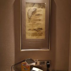 赤峰富力万达嘉华酒店·美食汇全日餐厅 User Photo
