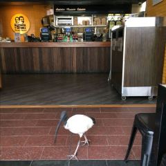 Guzman y Gomez - Broadbeach User Photo