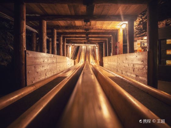 Hallstatt and Altausee Salt Mine