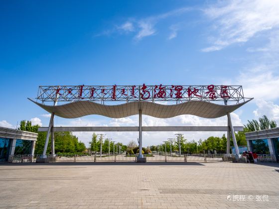 Nanhai Wetland Scenic Area