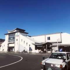 函館市場(京阪宇治店)張用戶圖片