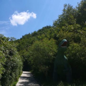 評論圖片 5