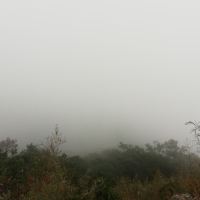 評論圖片 4