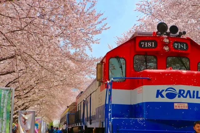 2026 부산 여행 3박4일 가이드 | 부산 가볼만한 곳부터 내돈내산 뜨끈한 돼지국밥 찐맛집, 부산 호텔 추천까지