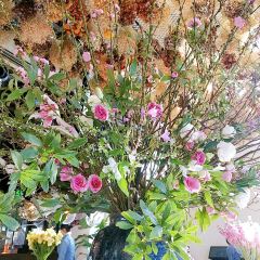 Peking Garden User Photo