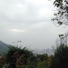 Yintelagenhuaqiaochengjiudianzizhucan User Photo