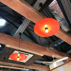 Strelka 여행 사진
