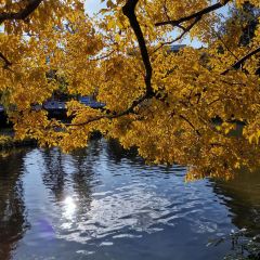 CUI HOUSE User Photo