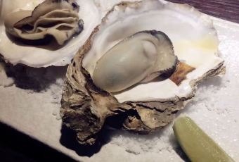 The Atlantic User Photo