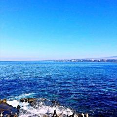 Mister A's User Photo