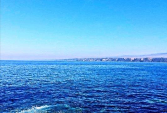 Mister A's User Photo