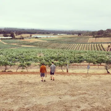 悉尼自由行攻略、市內+郊外景點推薦