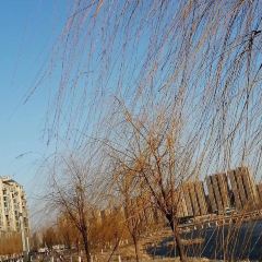 FENG SAN NIANG ảnh của người dùng