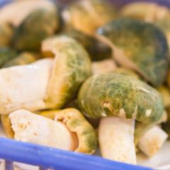 Jingchuan Wild Mushrooms Restaurant User Photo