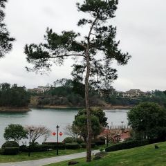 Narada Qiandao Lake Resort  (wenguangxuanzhongcanting) User Photo