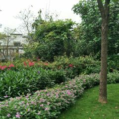 中海湯泉酒店·東坡館張用戶圖片