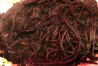 Trattoria Bar Pontini User Photo