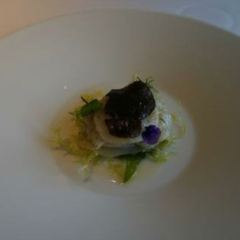 Continental User Photo