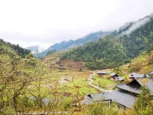 Dongkou National Forest Park