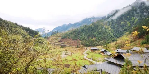 洞口縣國家森林公園
