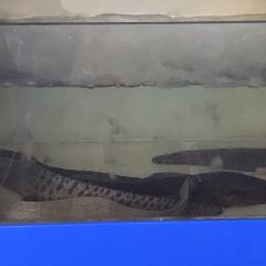 Haichaofengwei User Photo