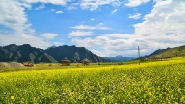 Aimei Camping Park, Eagle Valley, Snow Ridge