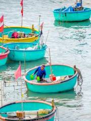 Mui Ne Fishing Harbour