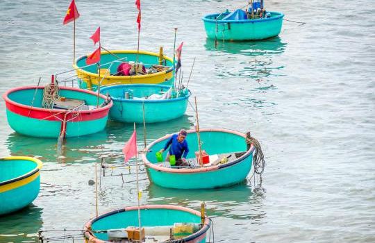 Mui Ne Fishing Harbour
