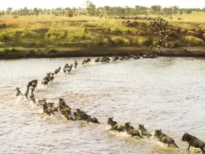 Mara River