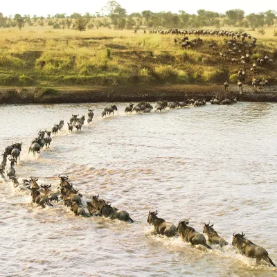 2-Star Hotels in Sagana