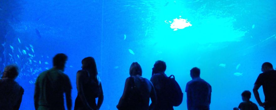 Ozeaneum