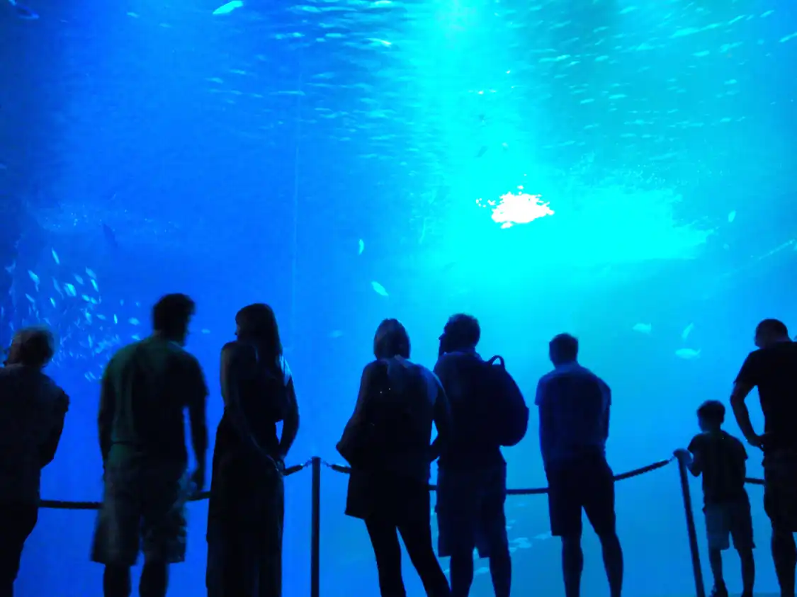 Hotels near Ozeaneum
