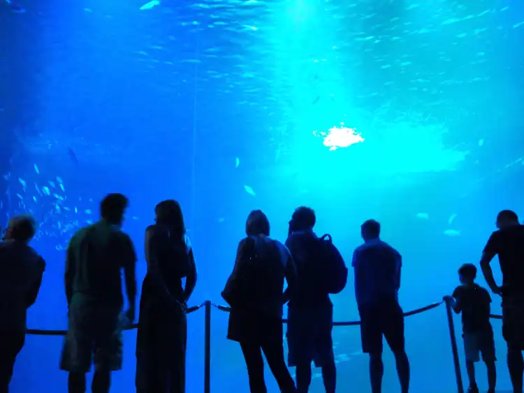 Hotels near Ozeaneum