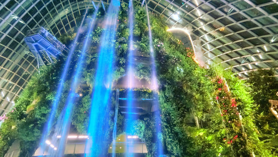 Клауд Форест