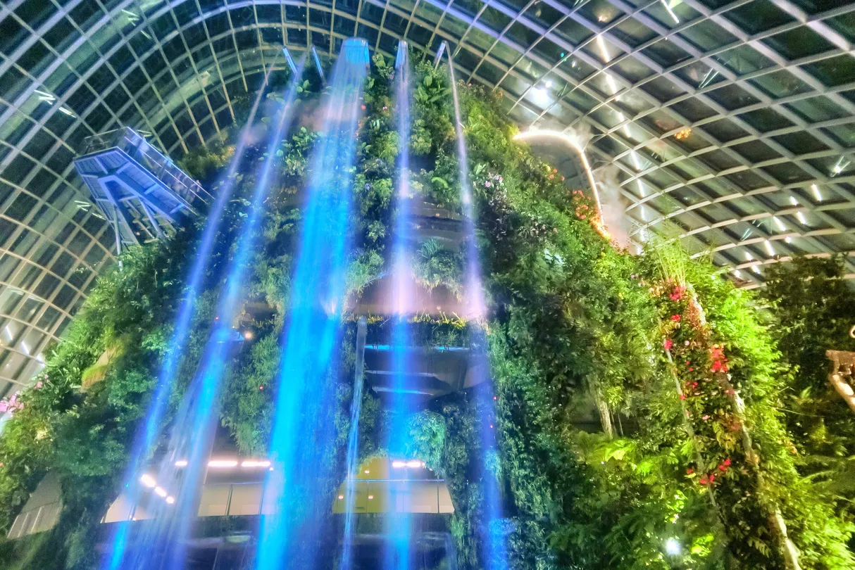 3_Cloud Forest